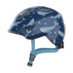 Blue Whale