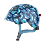 Blue Car