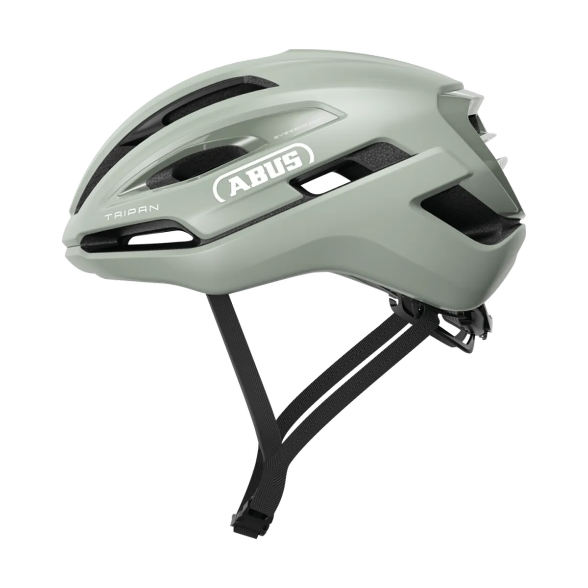 ABUS Taipan – Gravelhjälm, Frosted Green